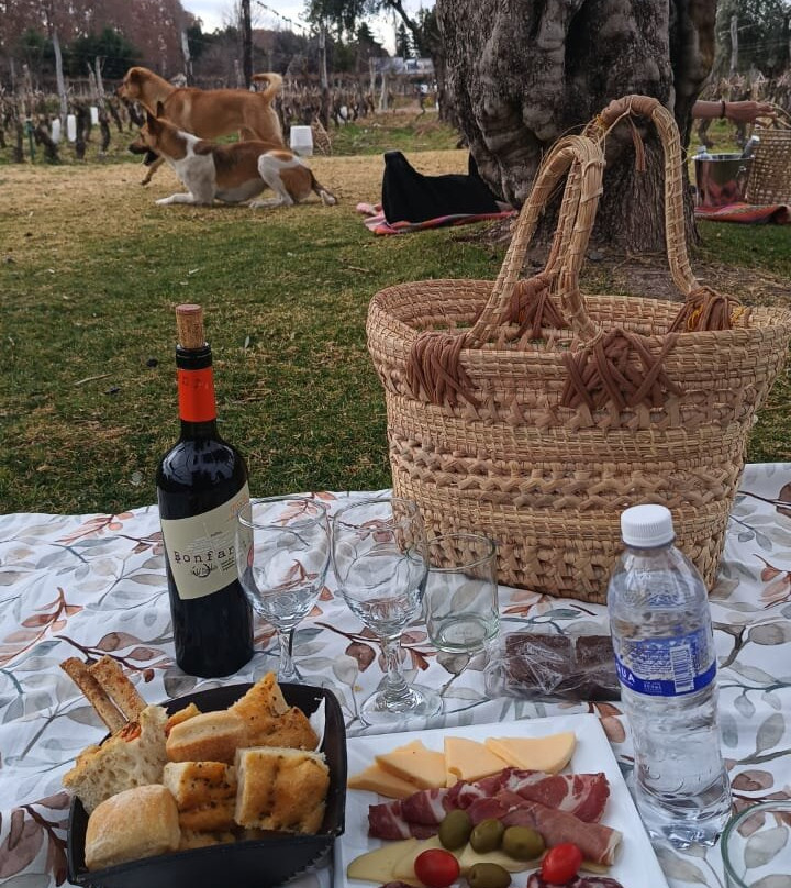 Bodega Roberto Bonfanti-路冉得库约必去景点