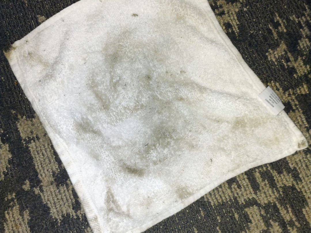 奥尔巴尼万豪酒店主图