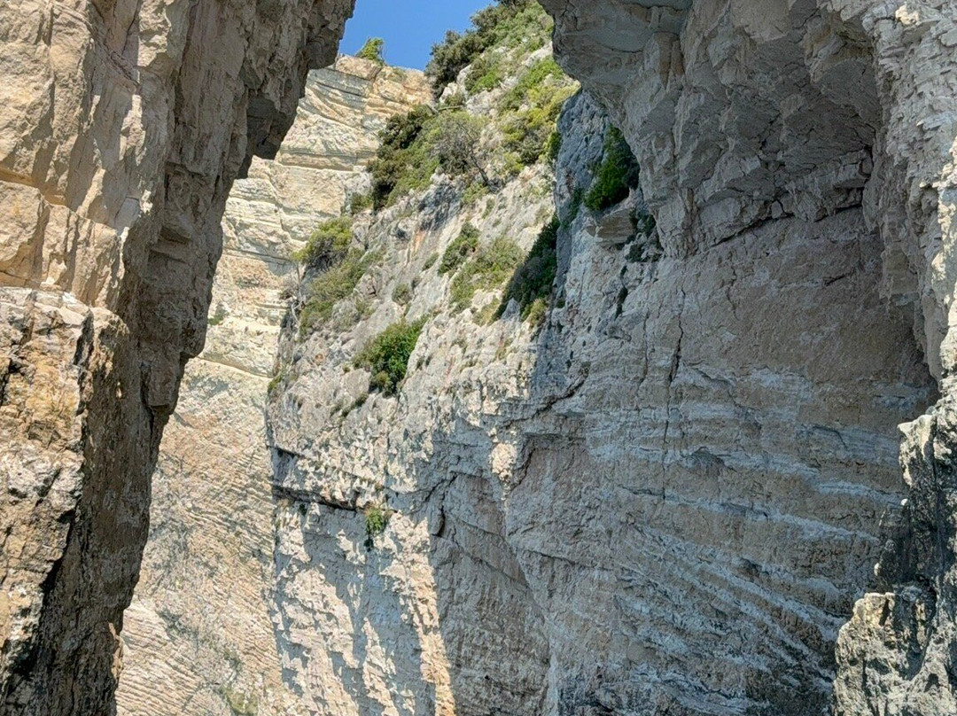 Dolphin Boat Rentals-利姆尼科利必去景点