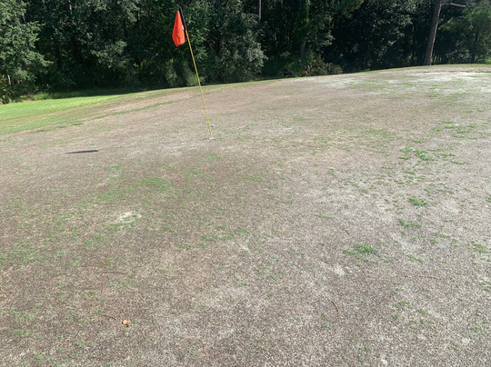 Ironwood Golf Course-盖恩斯维尔必去景点