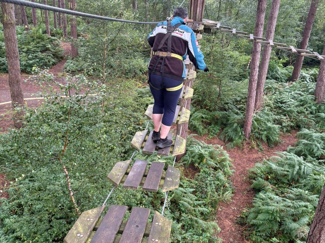 Go Ape Delamere-Delamere必去景点