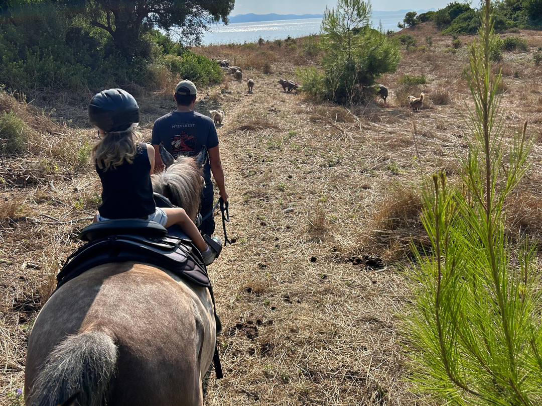 Horse-Ranch Manippos Halkidiki-Kassandra必去景点