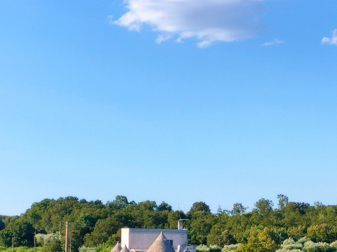 Coppola di Seta主图