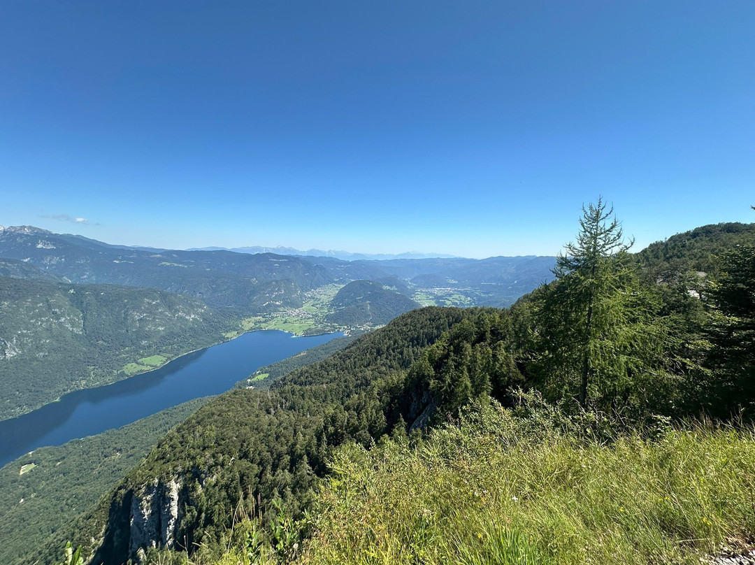 Vogel Ski Center-博希尼湖必去景点