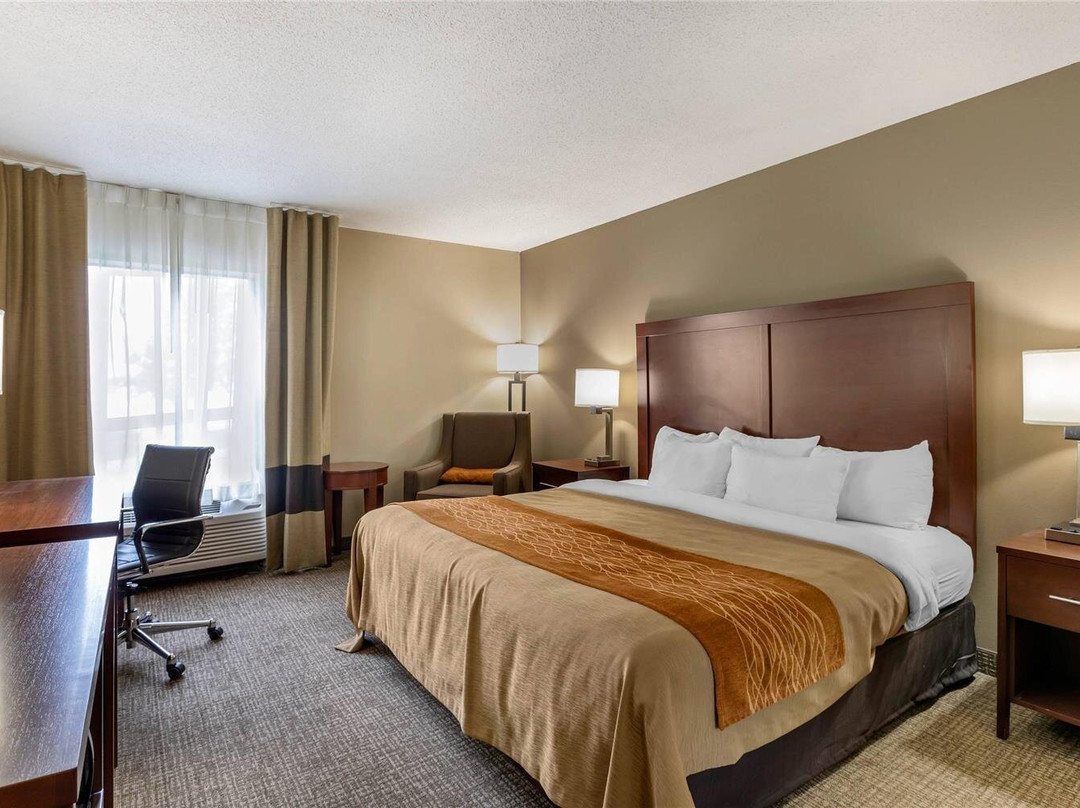 Tipton酒店住宿-Comfort Inn Walcott near Davenport