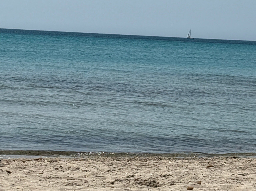 Spiaggia di Tonnarella-马扎拉－德尔瓦洛必去景点