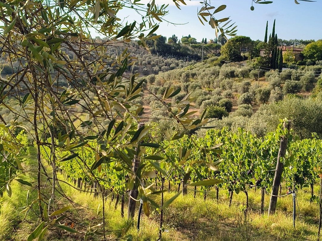 Podere Bella Venere-因普鲁内塔必去景点