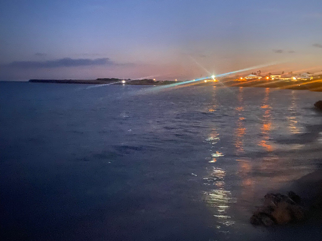 Platja de Son Xoriguer-卡兰博希必去景点