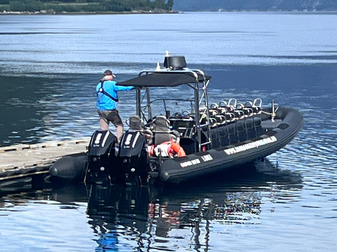 Hardanger Fjordsafari-Eidfjord必去景点