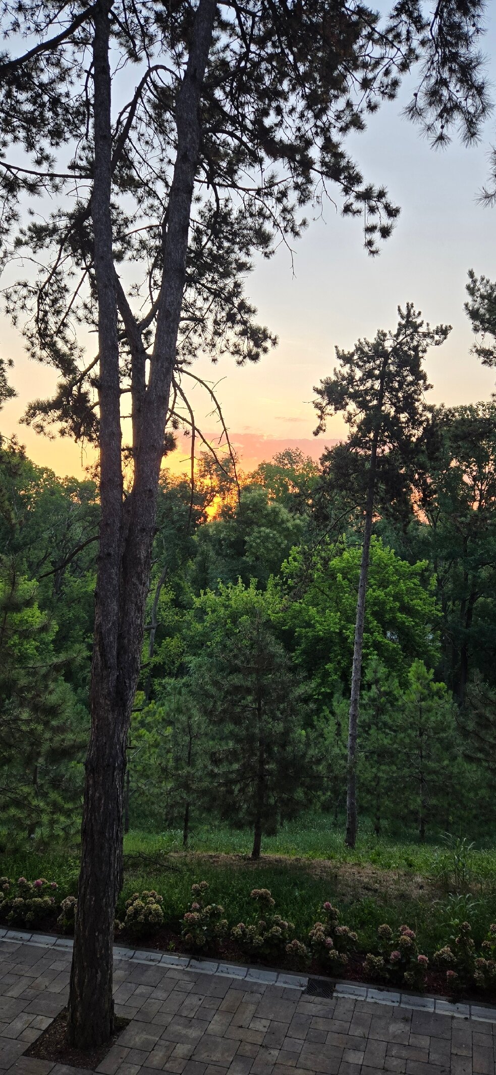 Hotel Borkovac-官方