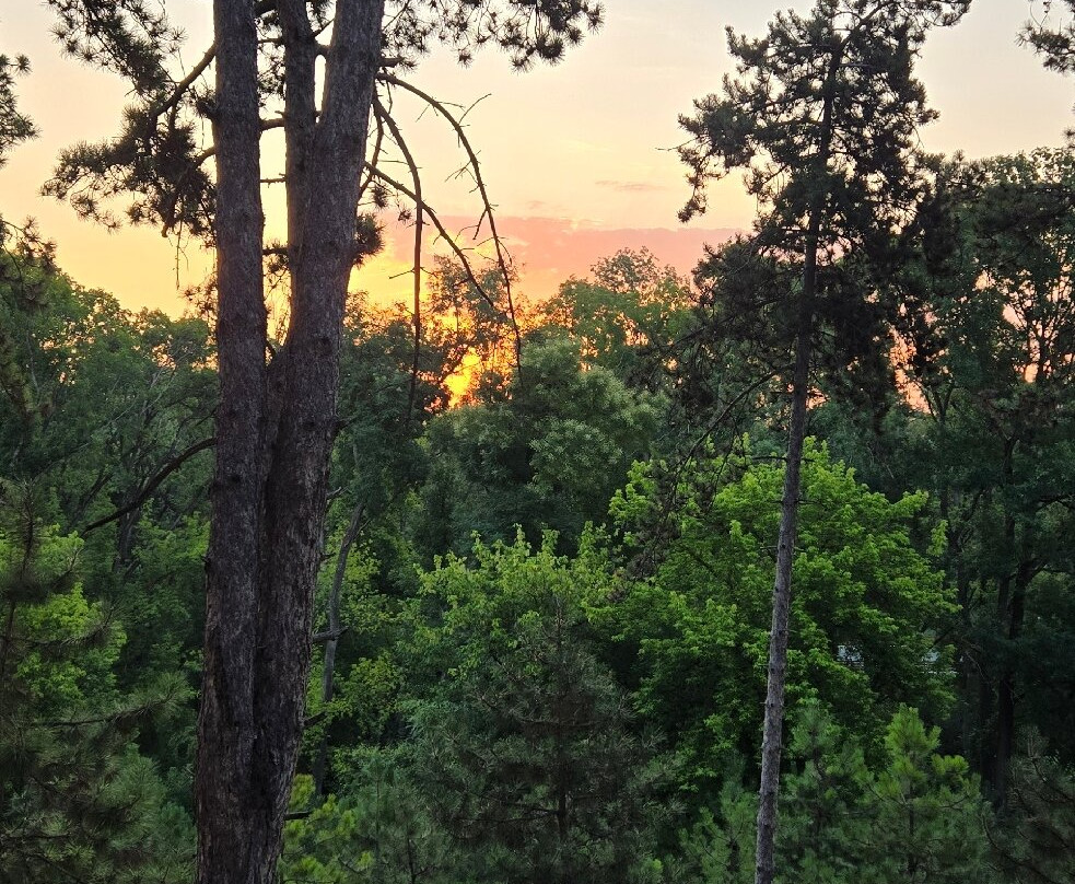 Hotel Borkovac主图