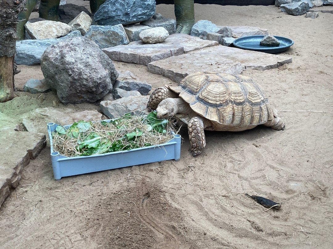 Berkenhof Tropical Zoo-Kwadendamme必去景点