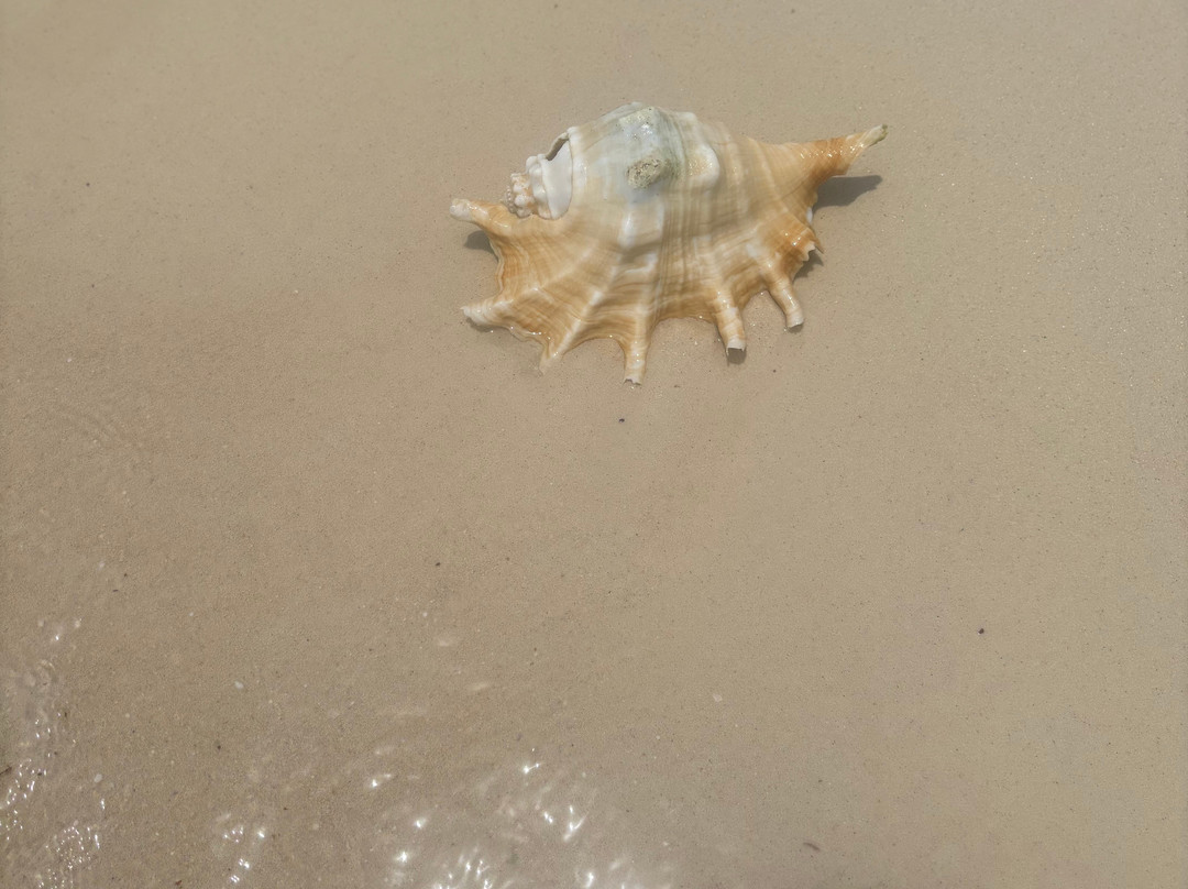 Isole Hamata-马萨阿拉姆必去景点