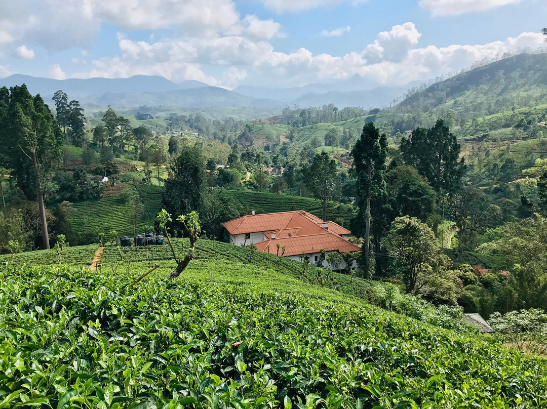 总督府酒店主图
