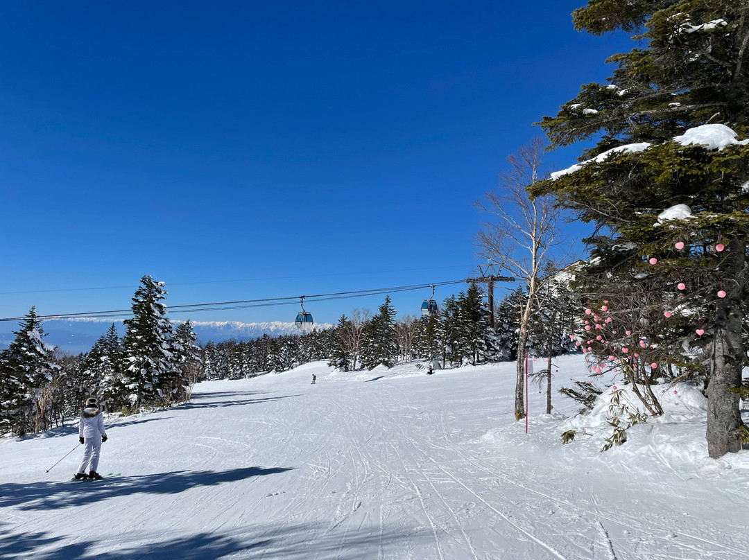 Shigakogen Yakebitaiyama Ski Area-山之内町必去景点