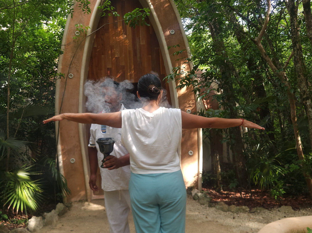 Hotel Holistika主图