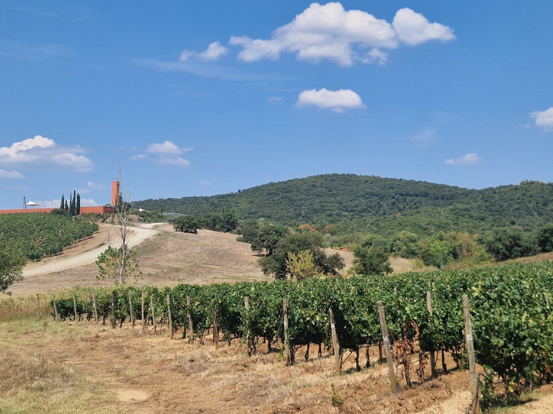 Cantina Rocca di Frassinello-格罗塞托必去景点