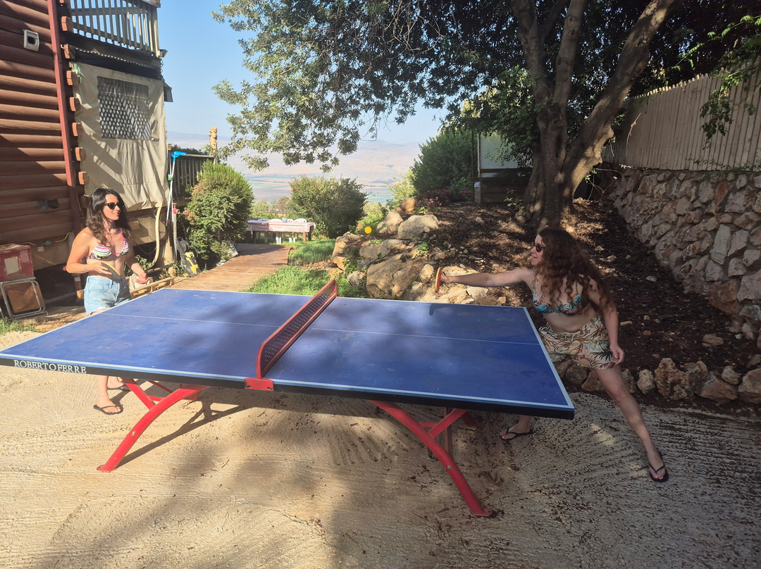 Naftaly Estate主图