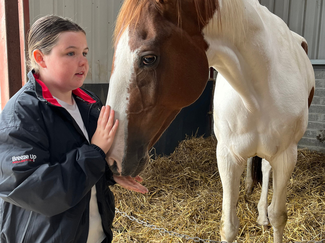 Annaharvey Farm Equestrian Centre-Tullamore必去景点