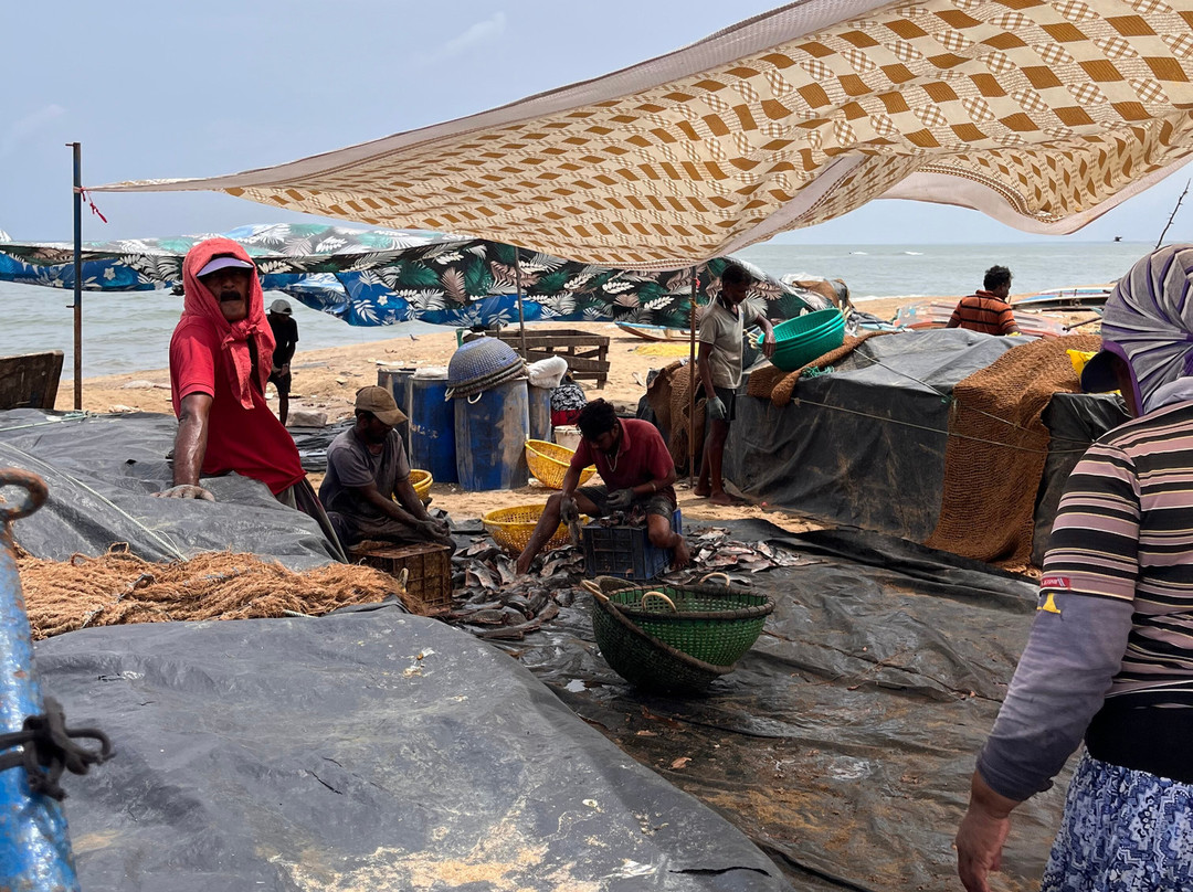 Lalaf Tours-尼甘布必去景点