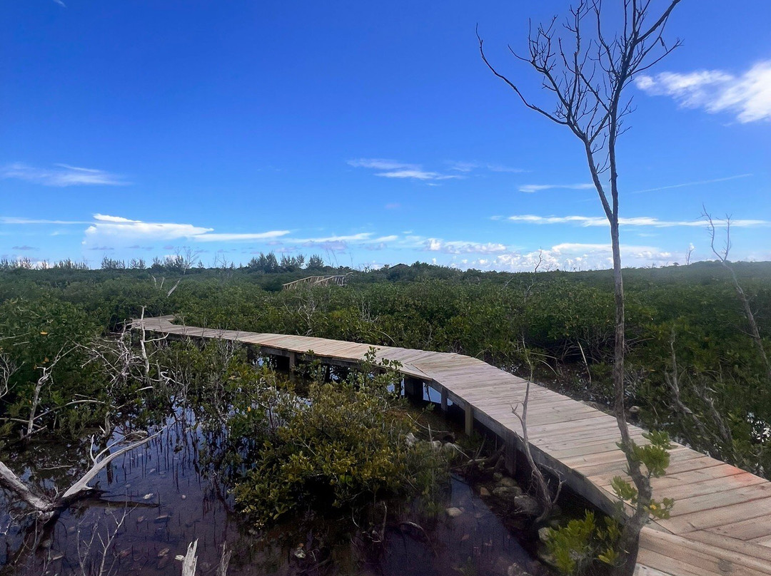 Lucayan Caverns-Lucayan National Park必去景点