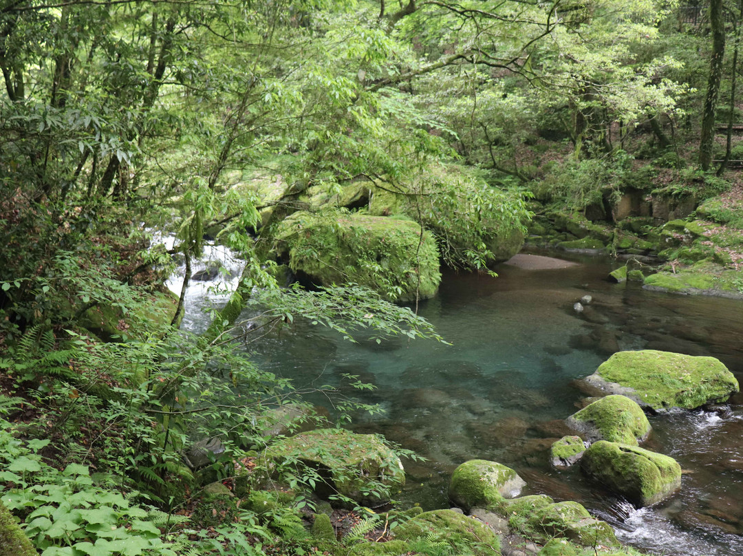 Kikuchi Gorge-菊池市必去景点