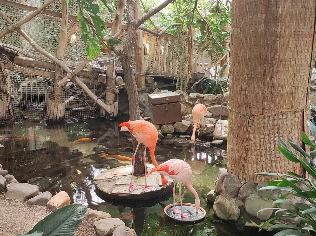 Center Parcs de Vossemeren-洛默尔必去景点