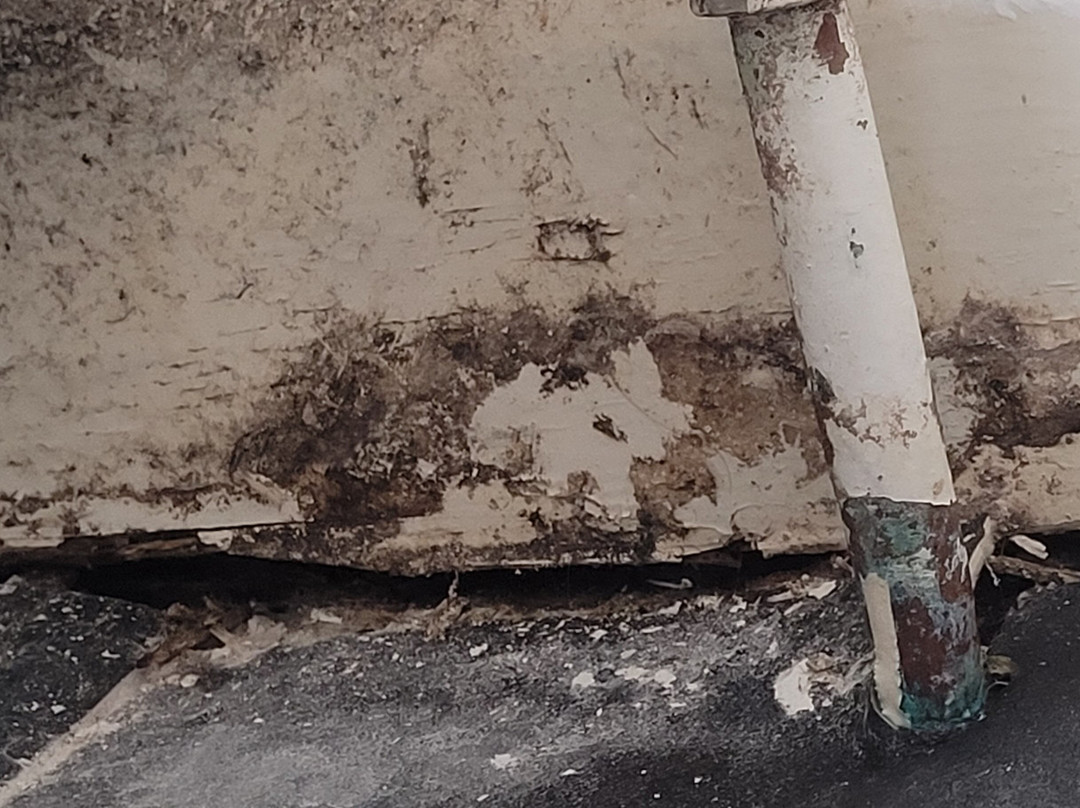 The Winston Guesthouse主图