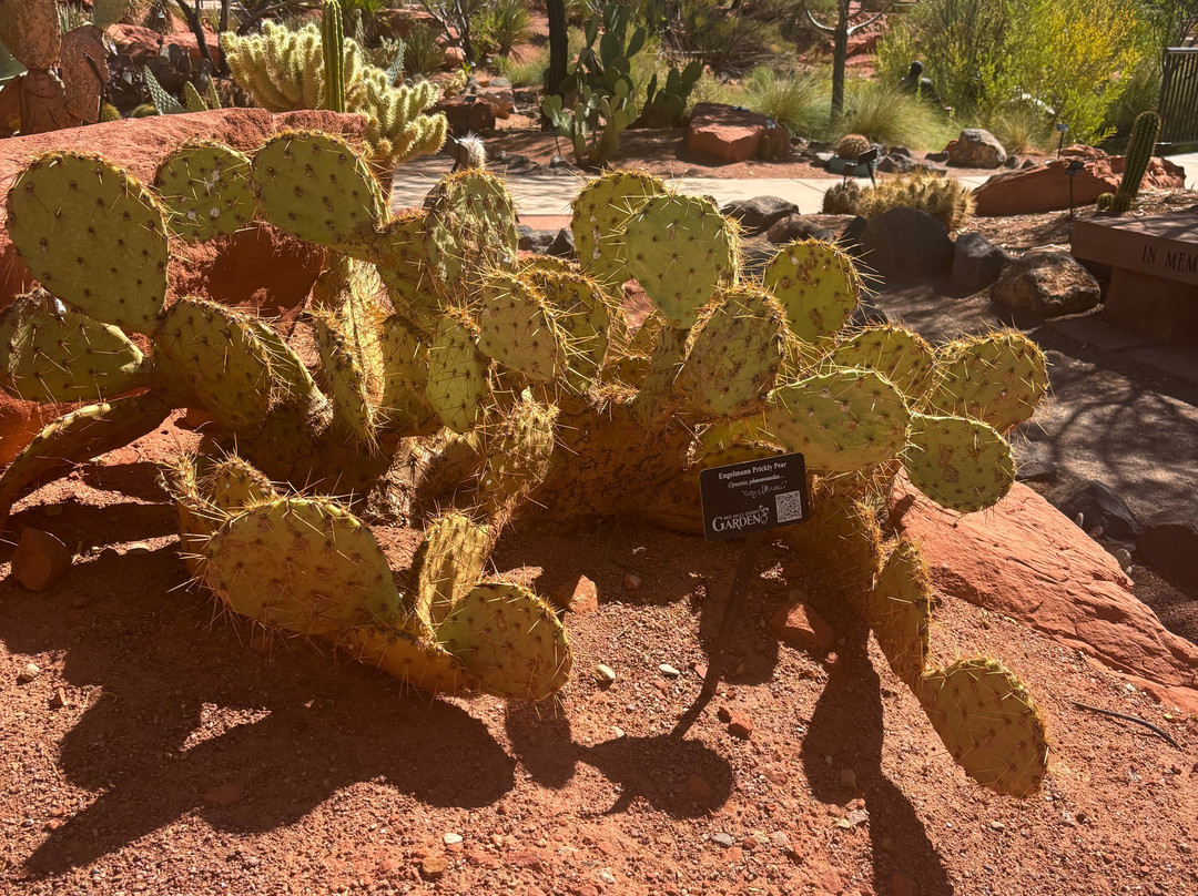 先锋公园-圣乔治必去景点