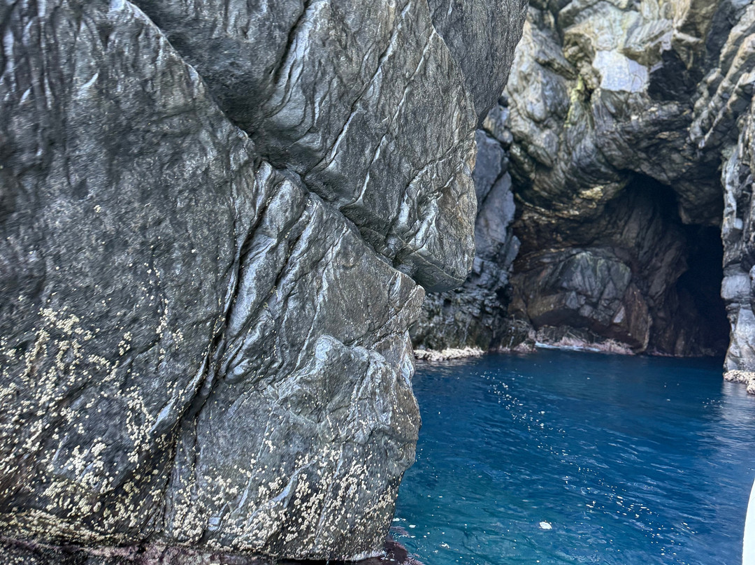 Amato Escursioni Nautiche di Daniele Amato-Asinara必去景点