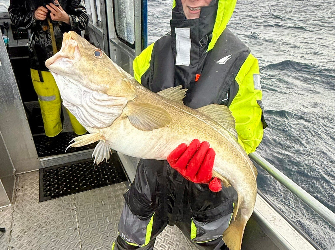 Arctic Spearfishing & guided fishing-Ballstad必去景点