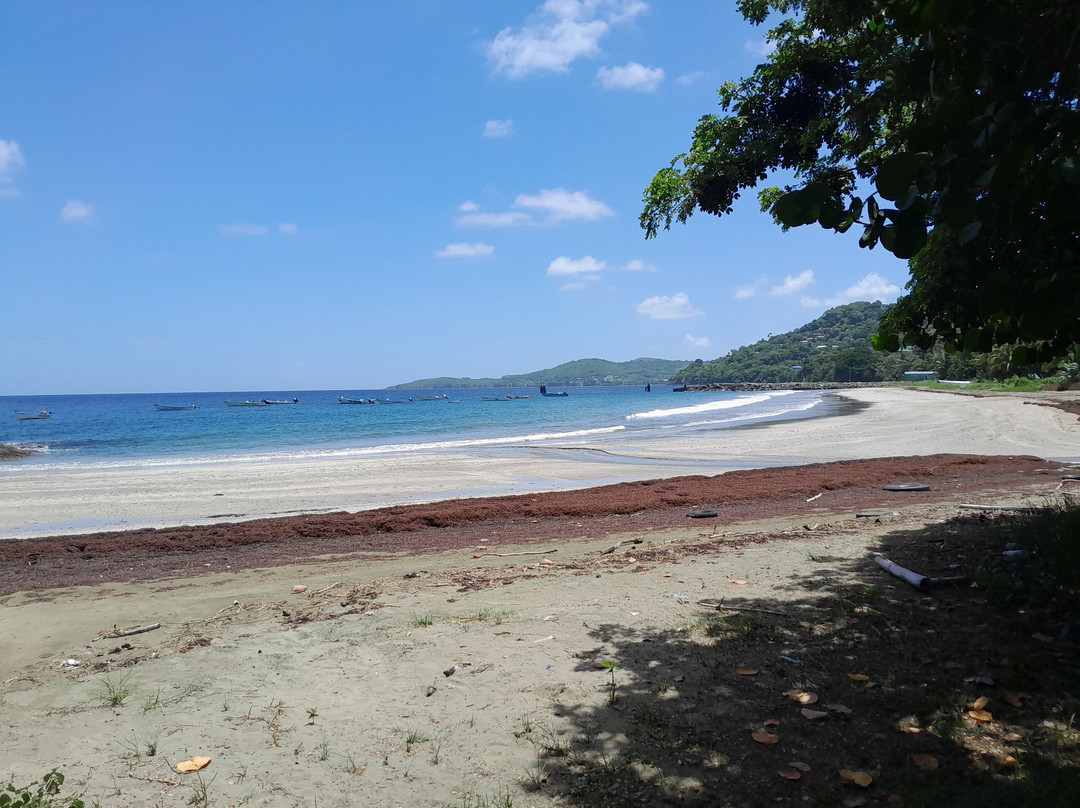 Sandy Point Beach Club主图