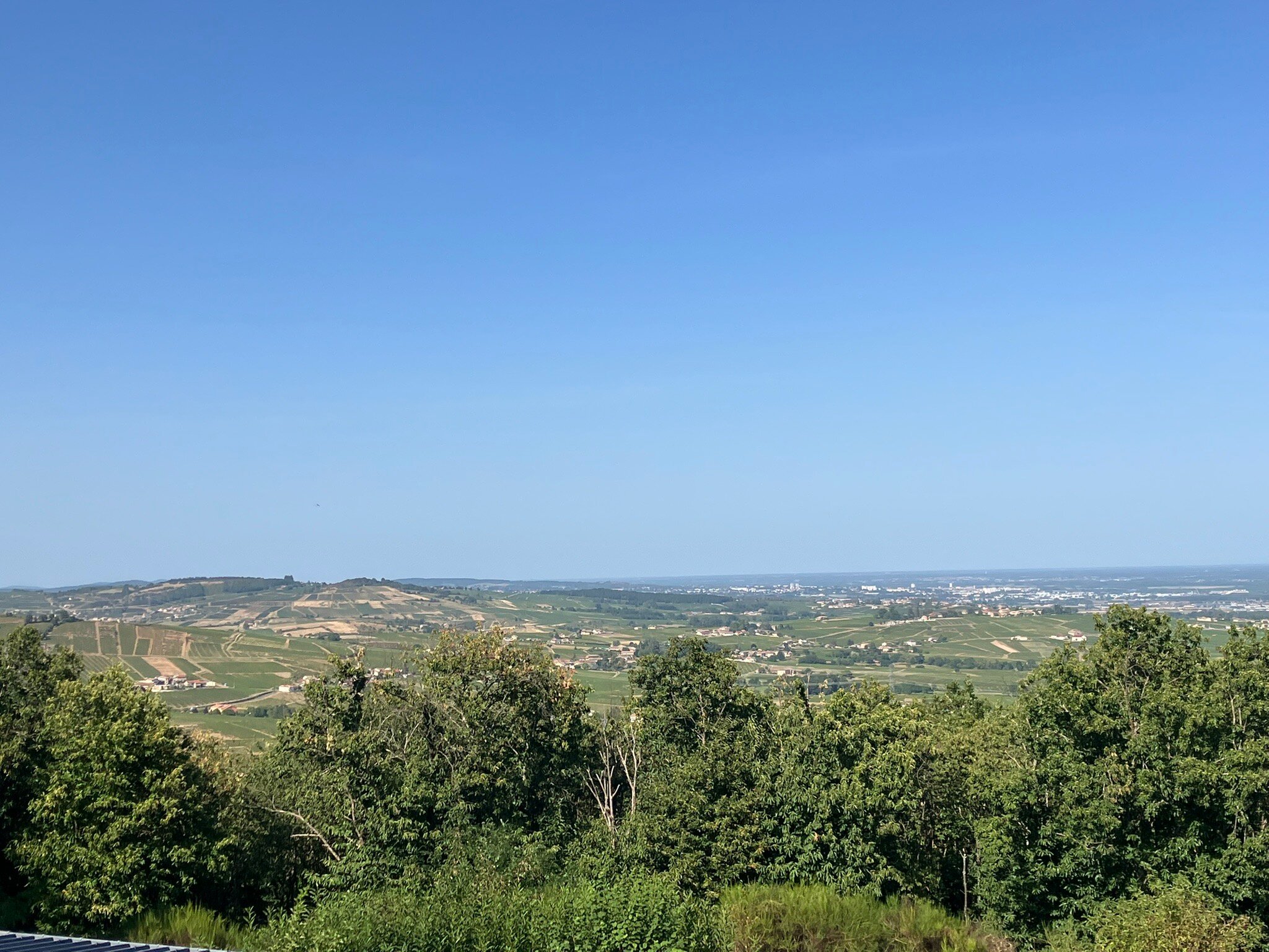 Auberge Les Hauts De Chenas-官方