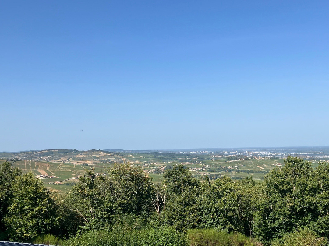 Auberge Les Hauts De Chenas主图