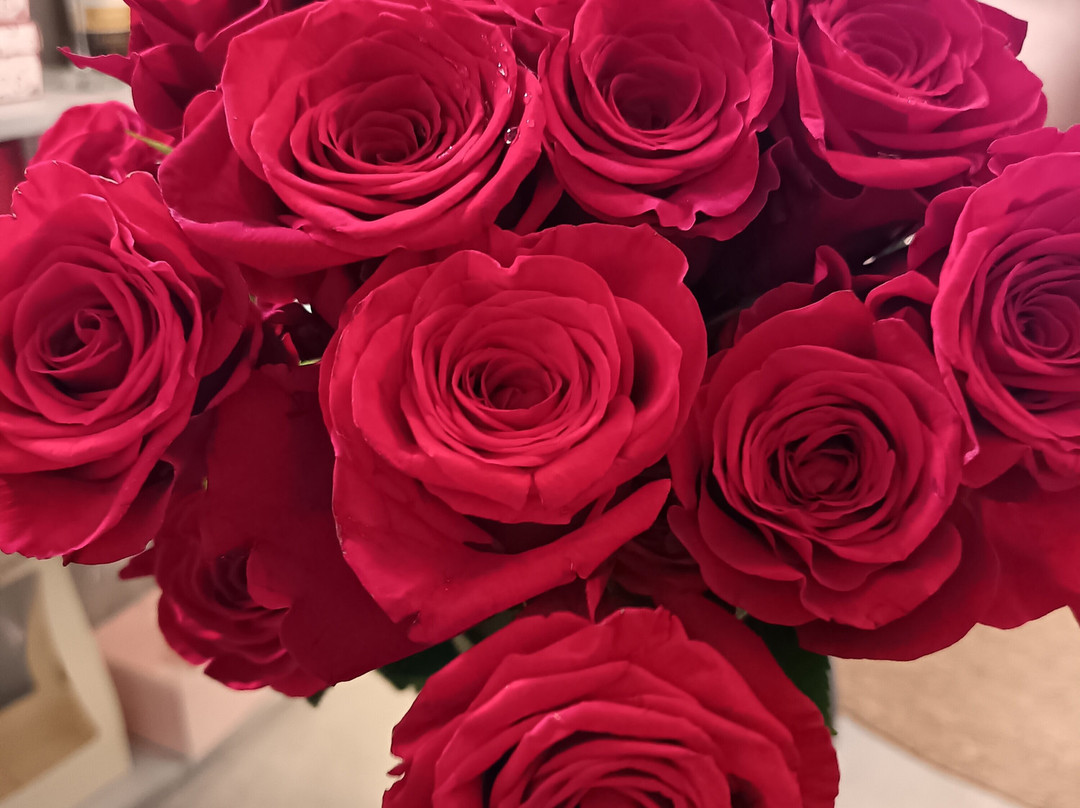 Mercadito Gastronómico Manuel Antonio-哥斯达黎加安东尼奥国家公园必去景点