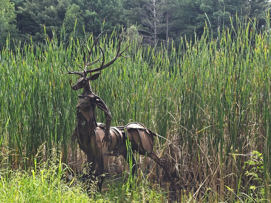 Stevens Point Sculpture Park-Stevens Point必去景点