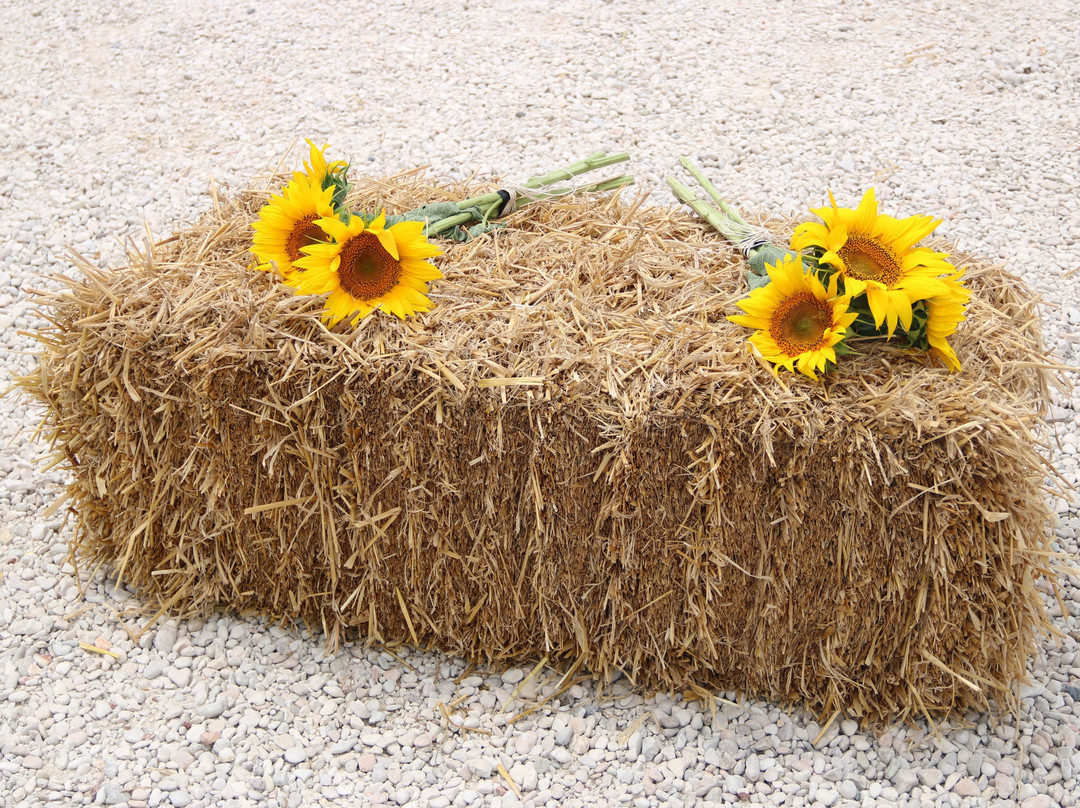 Casa Vacanze B&B La Quiete主图