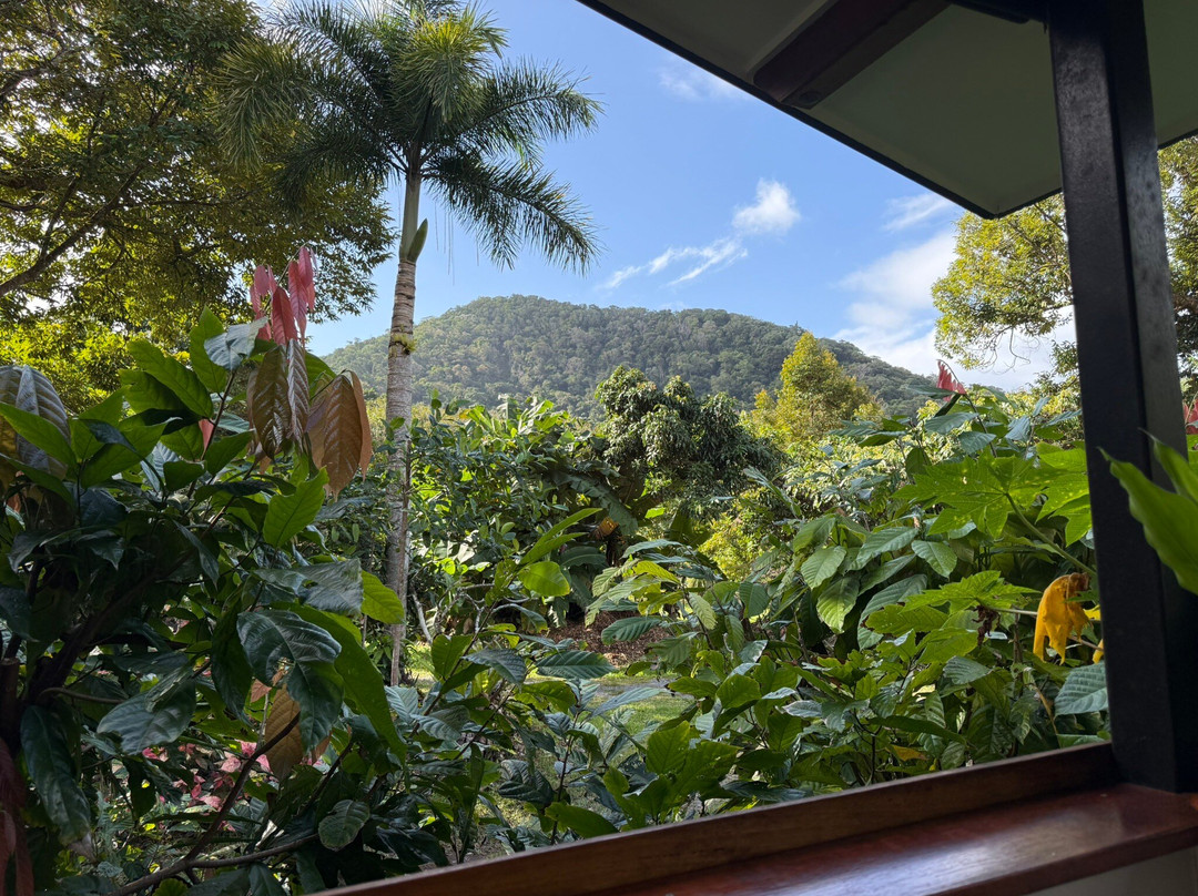 Cape Trib Exotic Fruit Farm-Cape Tribulation必去景点