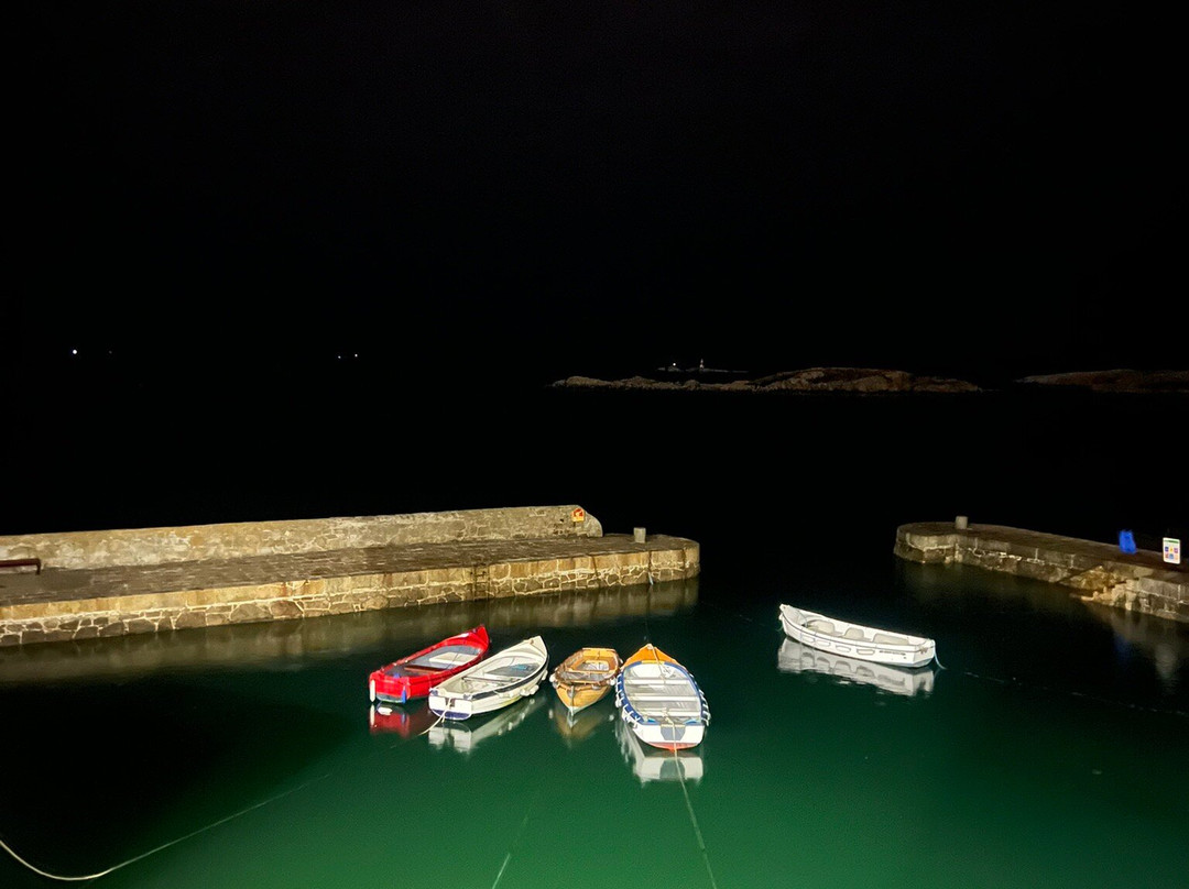 Coliemore Harbour-达尔基必去景点