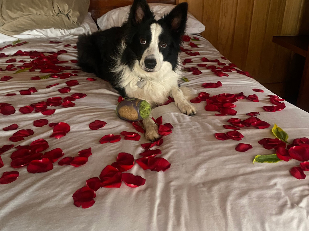 Cabanas El Estribo Hotel主图