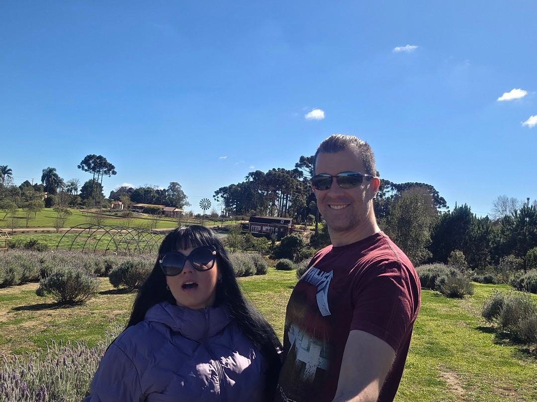 Lavandário Vale Dos Sonhos-Palmeira必去景点