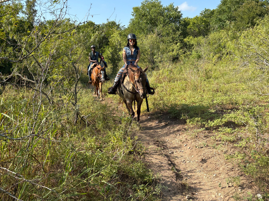 Lone Star Ranch-奥斯丁必去景点