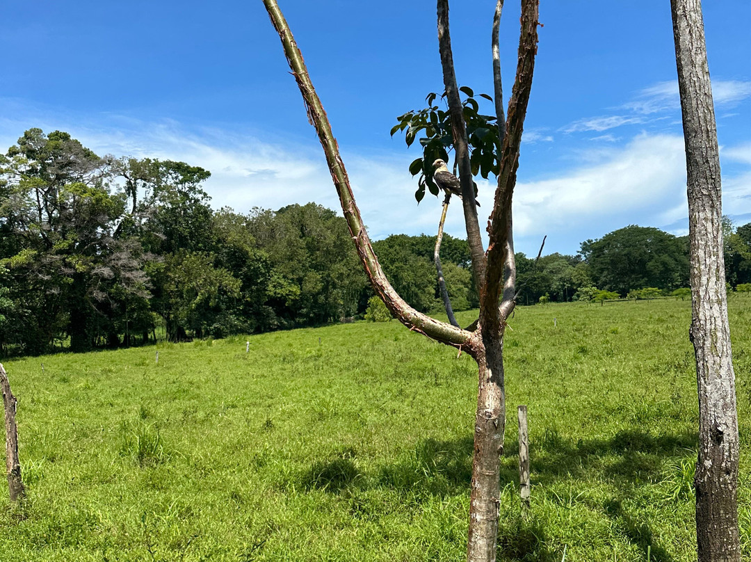 Rancho La Merced National Wildlife Refuge-乌维塔必去景点