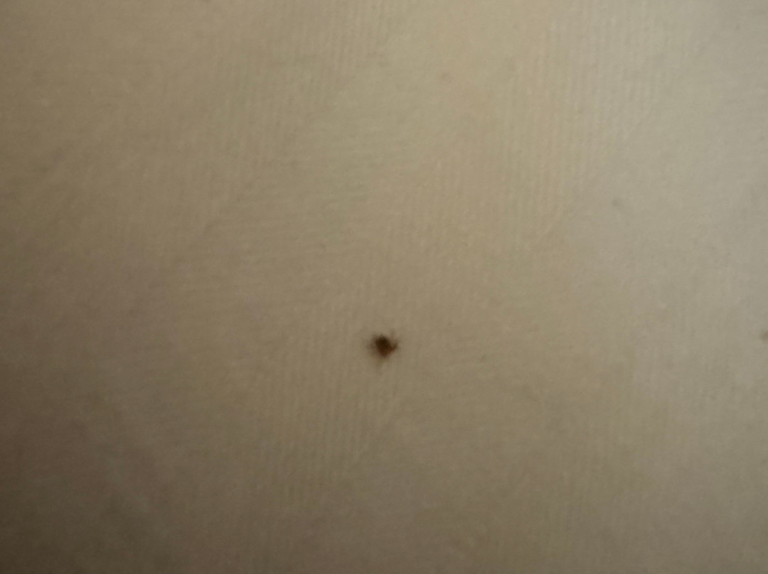 Best Western Plus Inn At Valley View主图