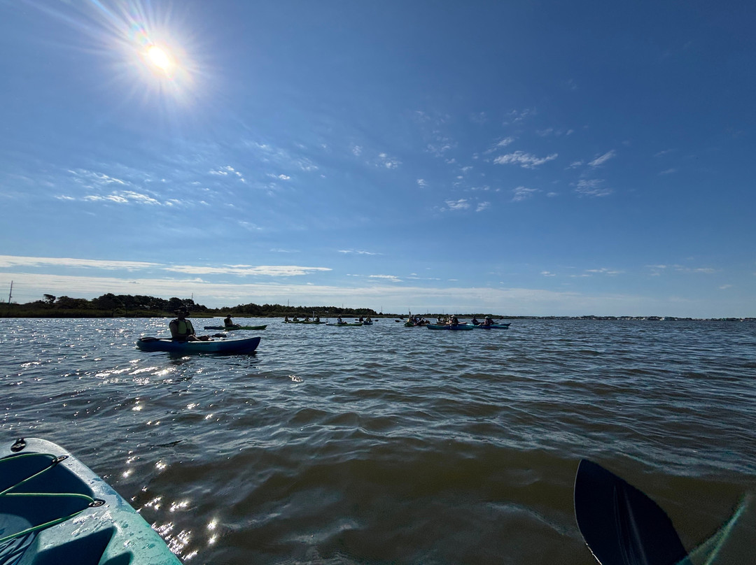 Coastal Kayak-Fenwick Island必去景点