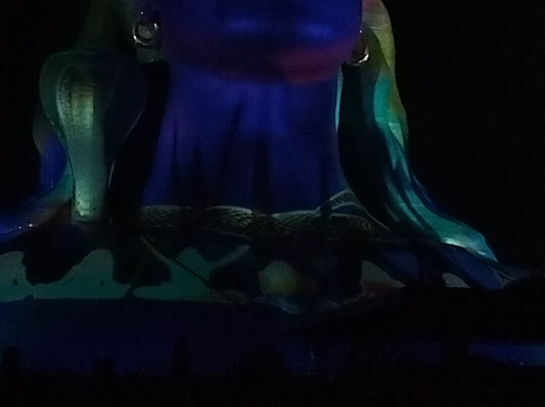Adiyogi Shiva bust-孔巴托必去景点