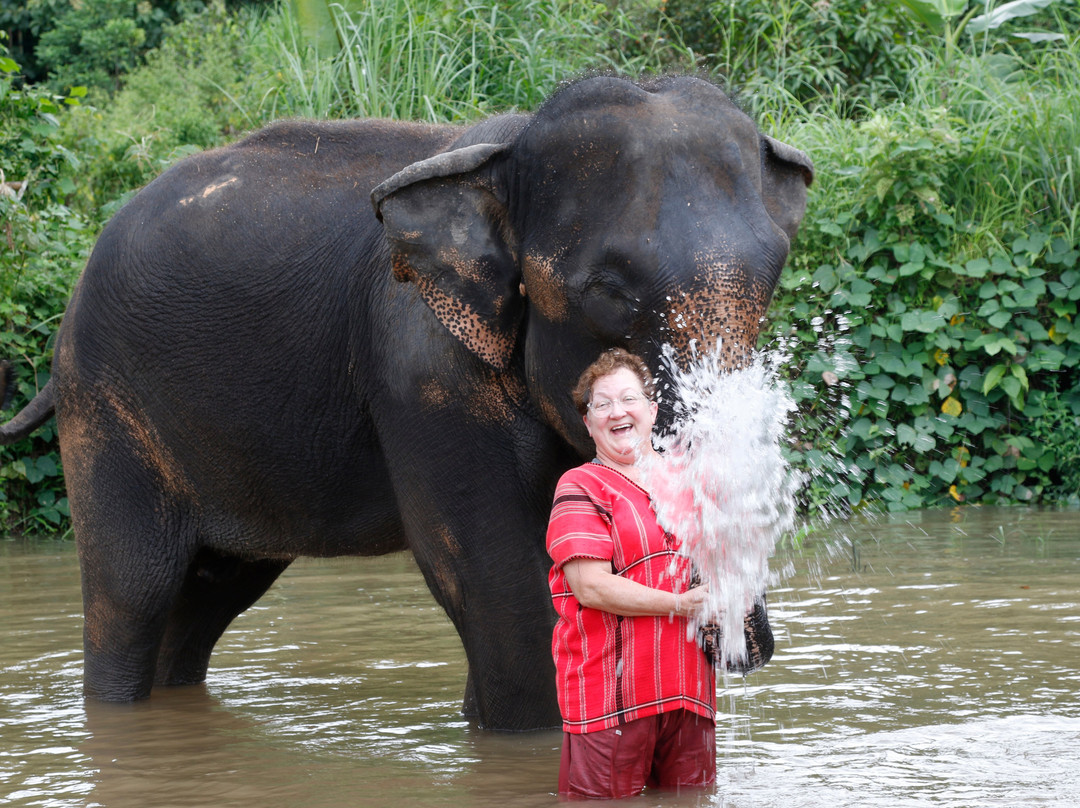 Karen Tribe Native Elephant-清迈必去景点