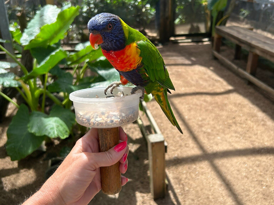 Parotte Ville Bird Sanctuary-圣马丁岛必去景点