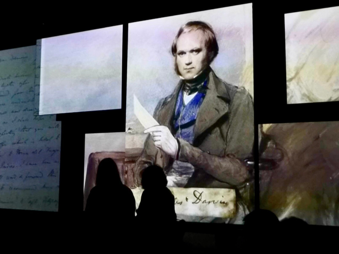 National Portrait Gallery Unframed: Stories - Brought to Life-曼彻斯特必去景点