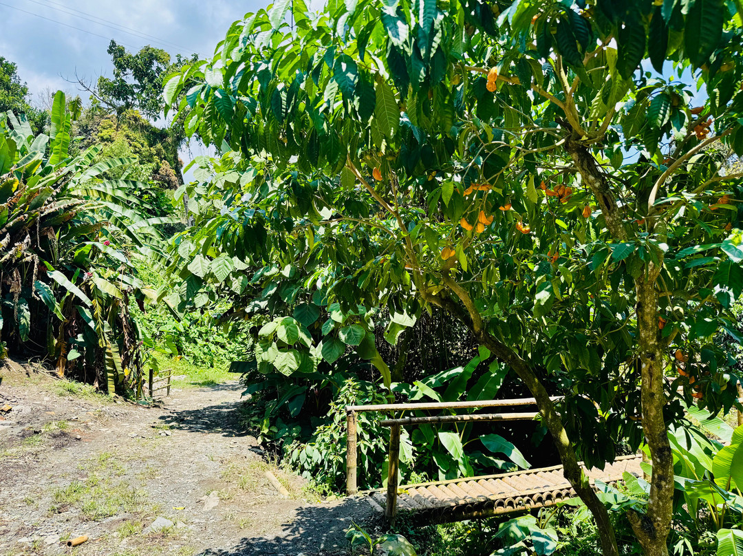 Hacienda Guayabal-Chinchina必去景点